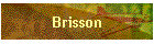 Brisson