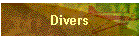 Divers