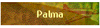 Palma