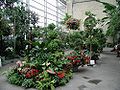 Jardin botanique