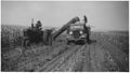 Récolte de maïs pour ensilage (photo d'archive)