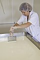 Production de fromages