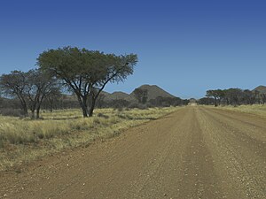 Route de savane (Namibie)