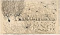 Dessin de Cajal