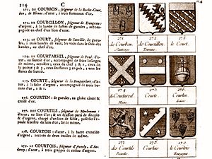 Exemple de source de qualité : le livre Armorial des principales maisons et familles du royaume, de Pierre-Paul Dubuisson, publié en 1757