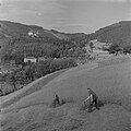 Fauchage (Allemagne)