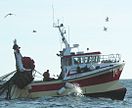 Un Navire de pêche en France.