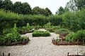 Jardin médicinal